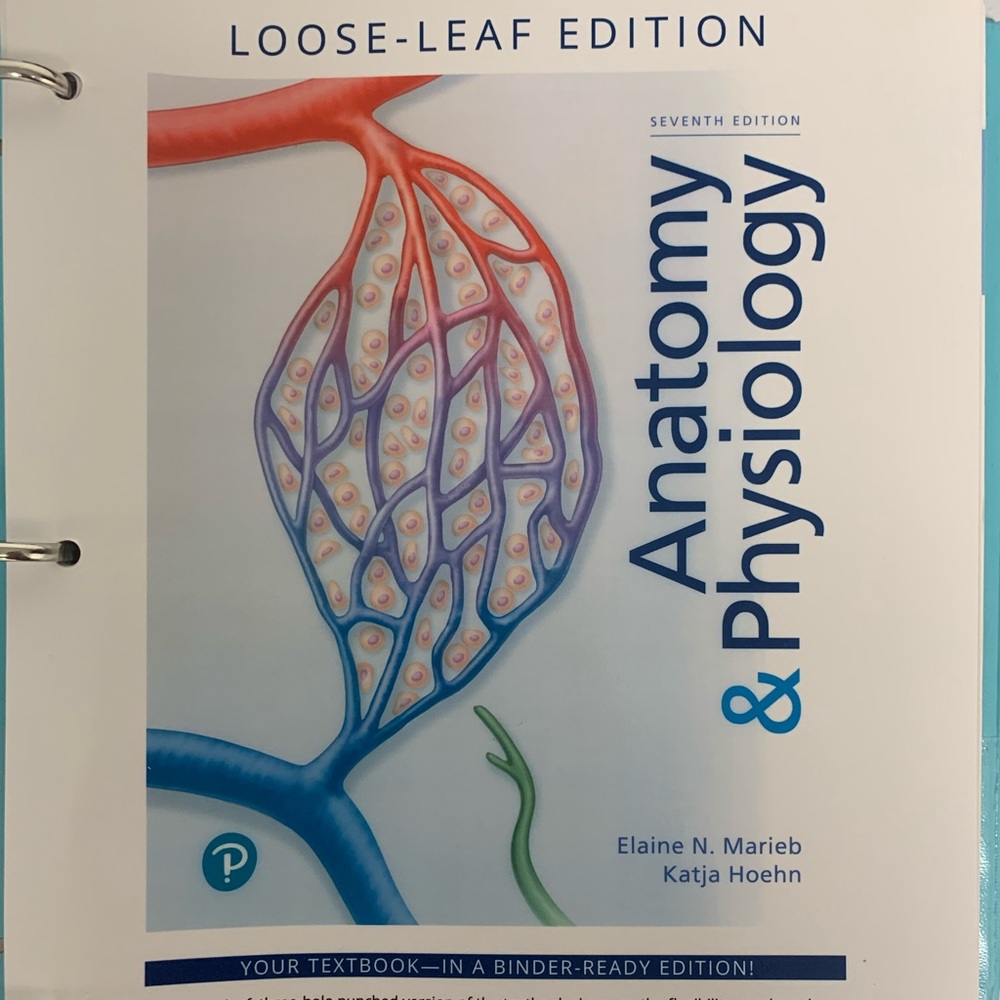 Anatomy & Physiology book. Loose-Leaf 7th Edition